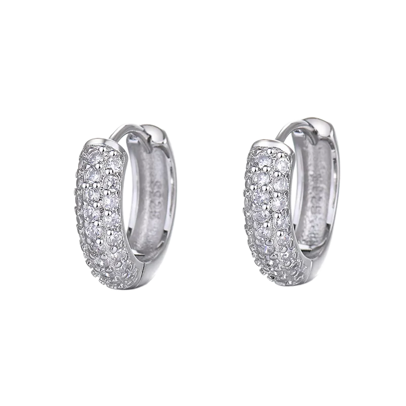 Orecchini "Iced Circle" Acciaio Inossidabile