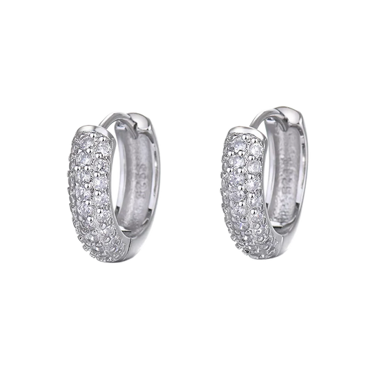 Orecchini "Iced Circle" Acciaio Inossidabile